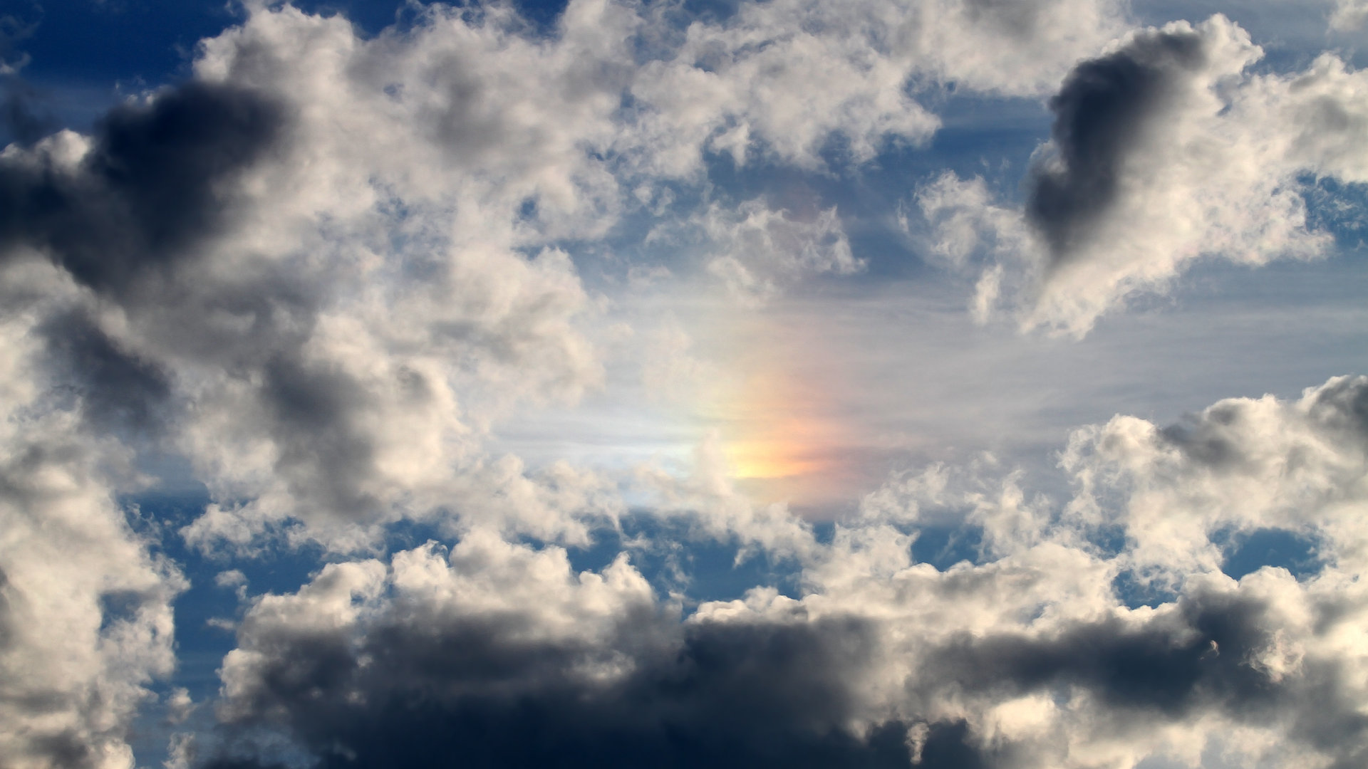 开云体育-骑士，奇才，与总决赛的驭风者