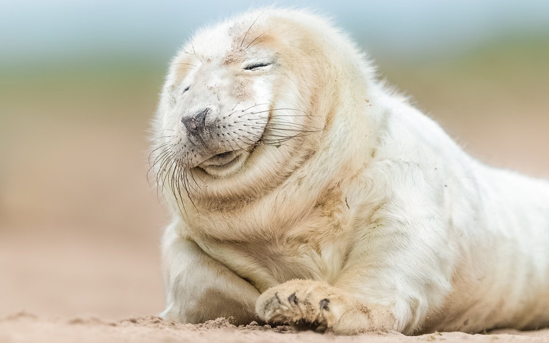 奥利维耶爆发点亮超级逆转,巴拉圭补时绝杀翻盘卡塔尔