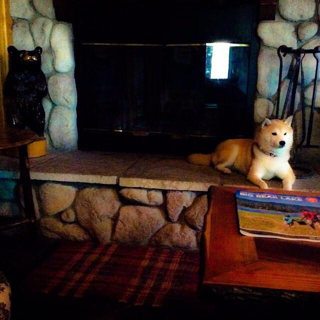 双线争锋,英超争冠白热化,灰熊碾压森林狼晋级再现体育激情