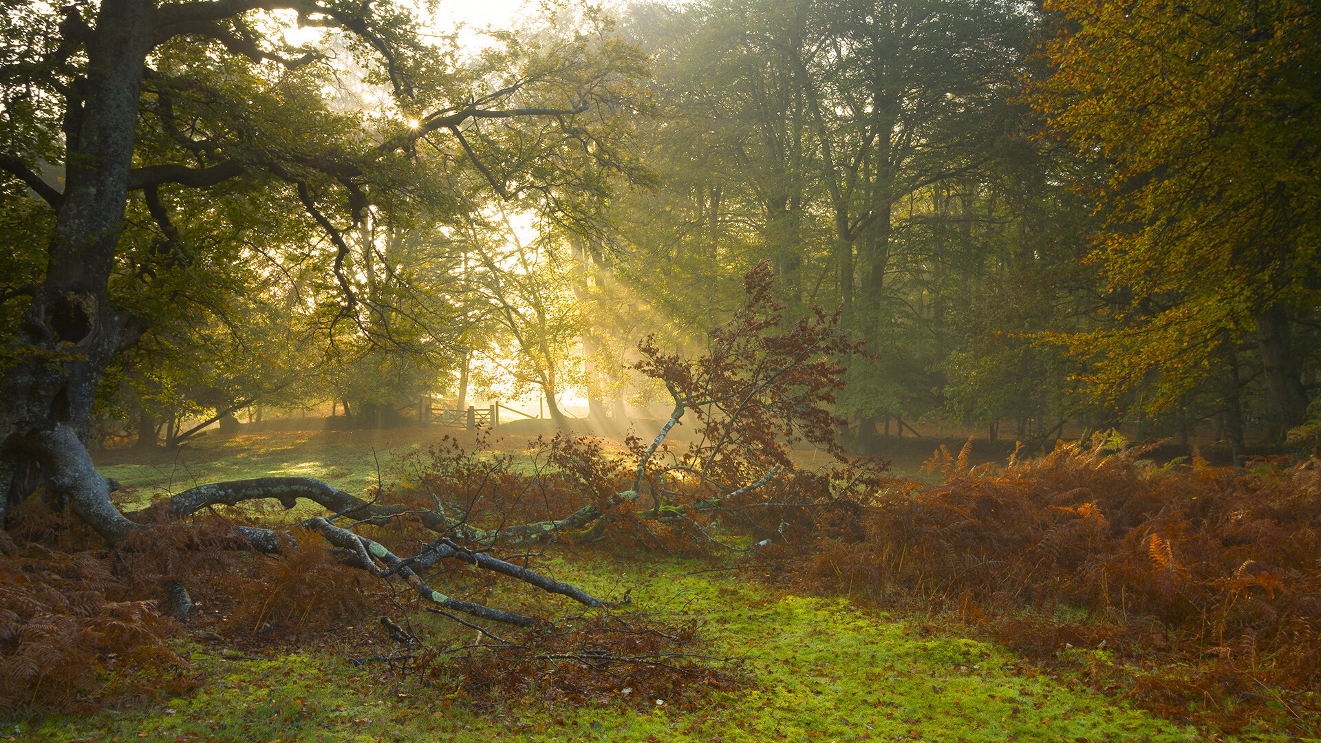 燃擎之夜，美加墨世界杯与硬仗之王克莱的终极试炼